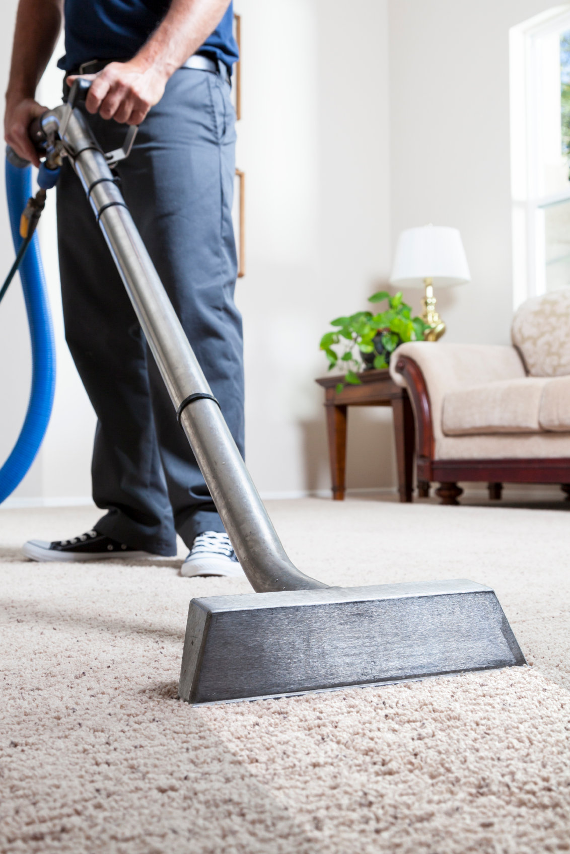 Digital Marketing for Carpet Cleaners